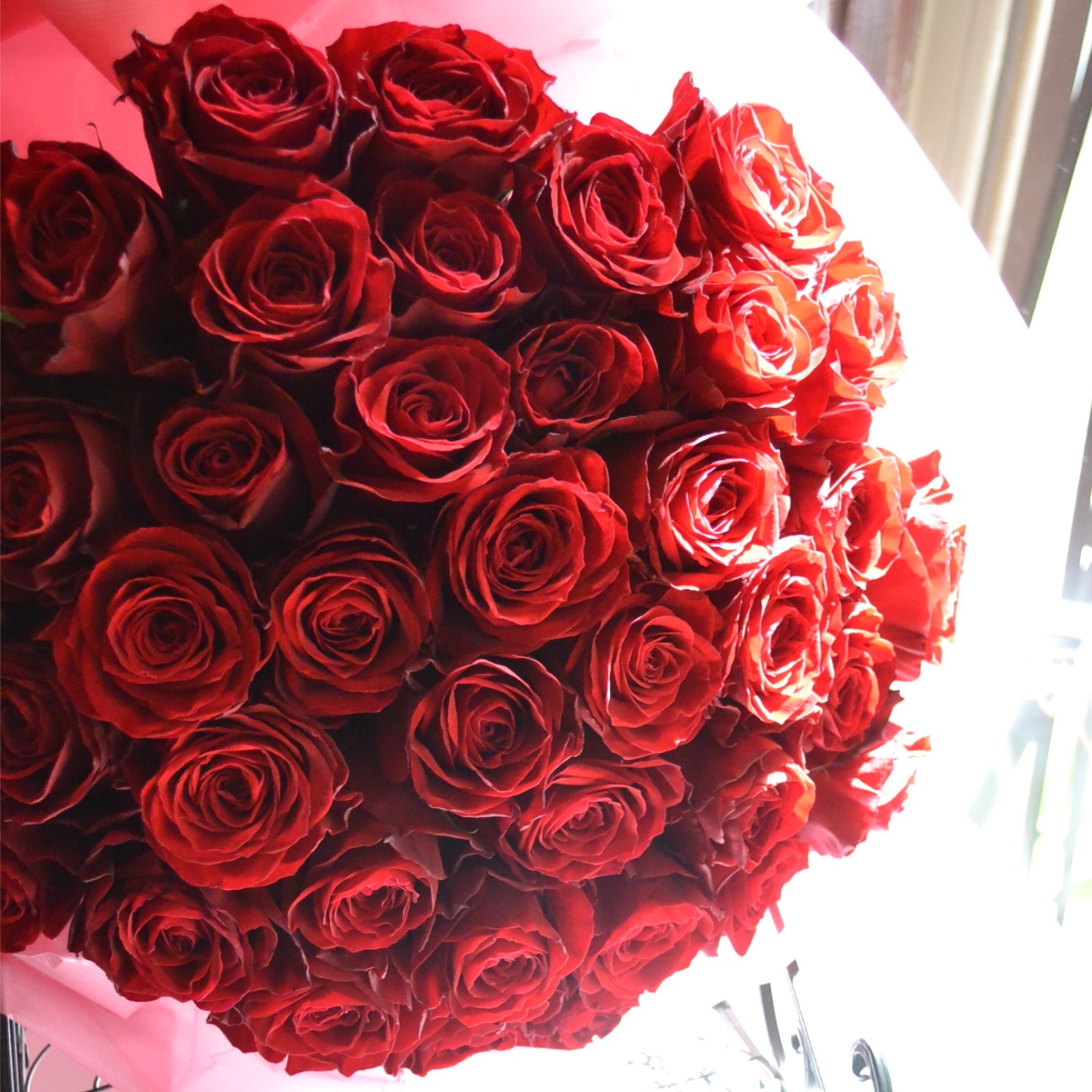 真紅のバラ50本のブーケ風お花束